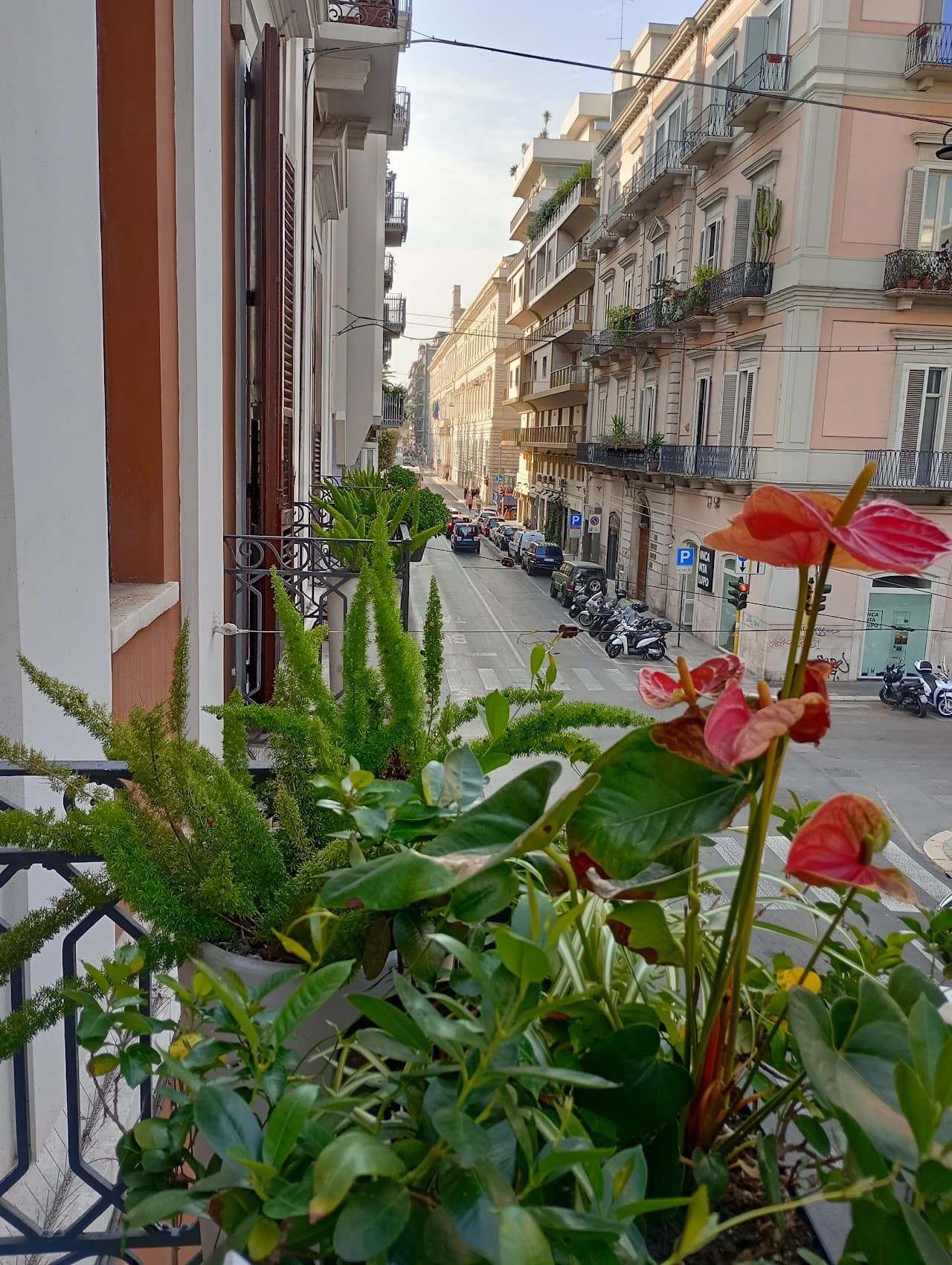 Bari 102 B&B