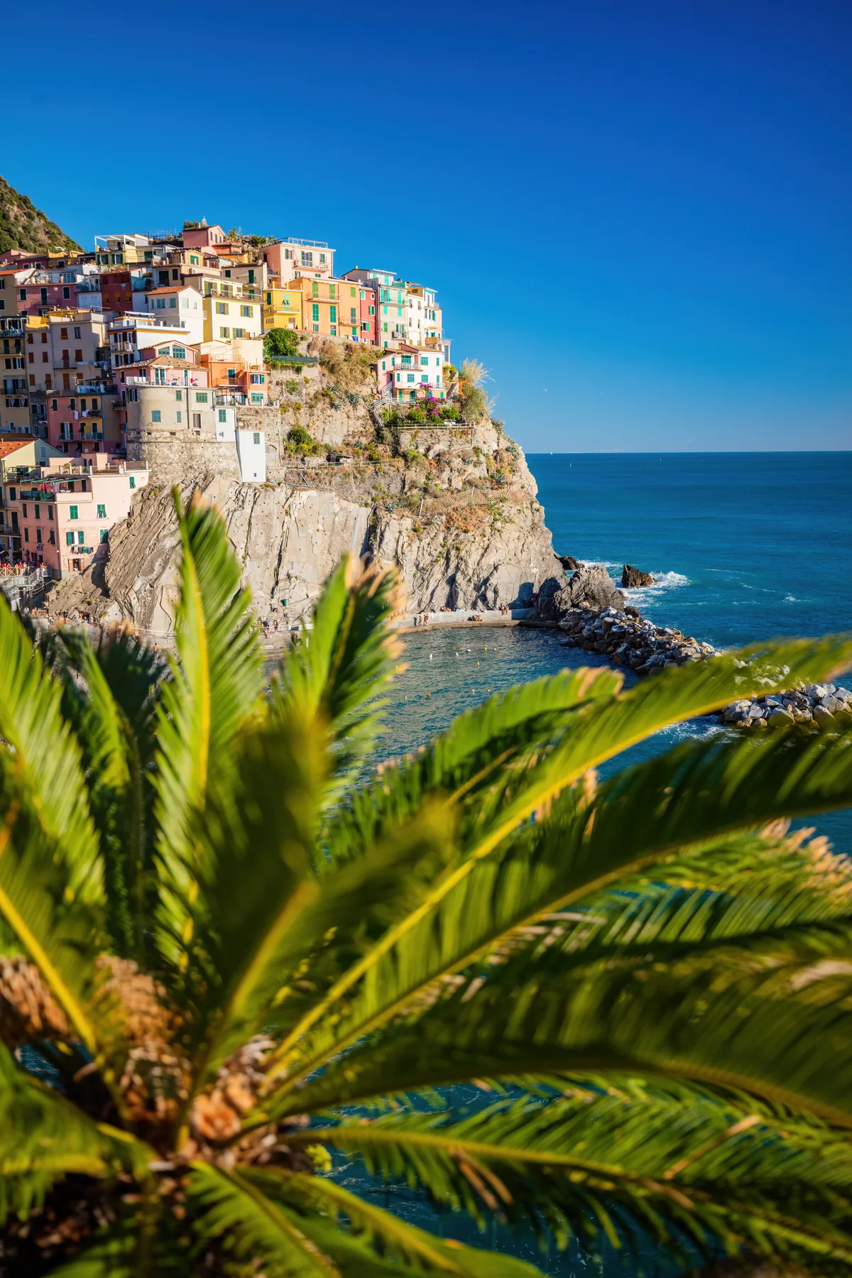 Manarola